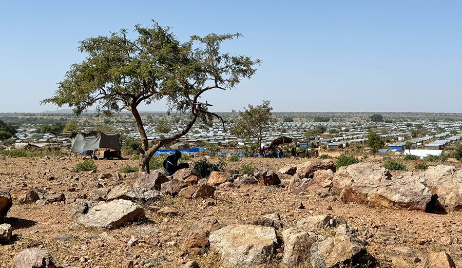 INGO warns: Sexual violence is widespread in Darfur
