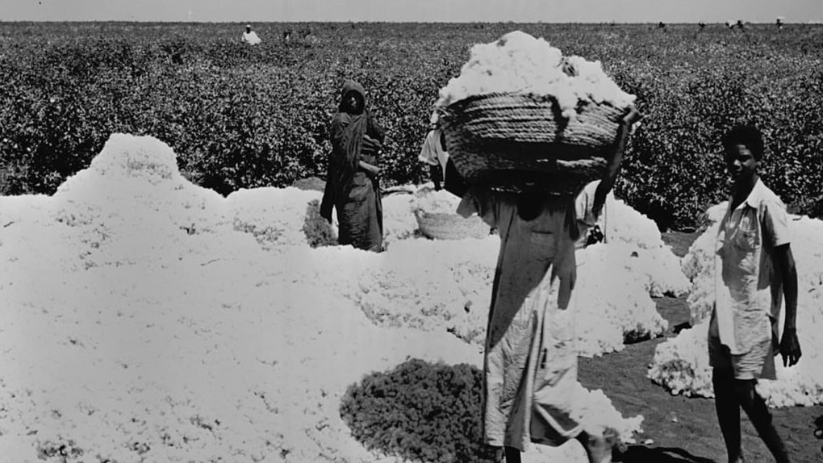 Empty Promises: What Remains of the World’s Food Basket?