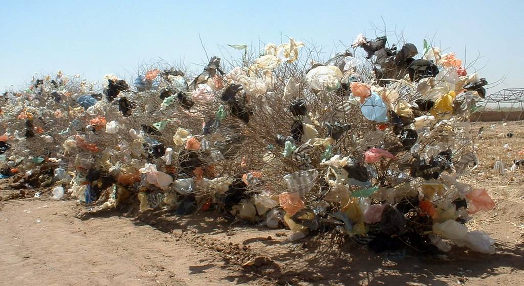World Environment Day: A United Global Stand Against Plastic Pollution While Sudan Struggles With Conflicting Interests