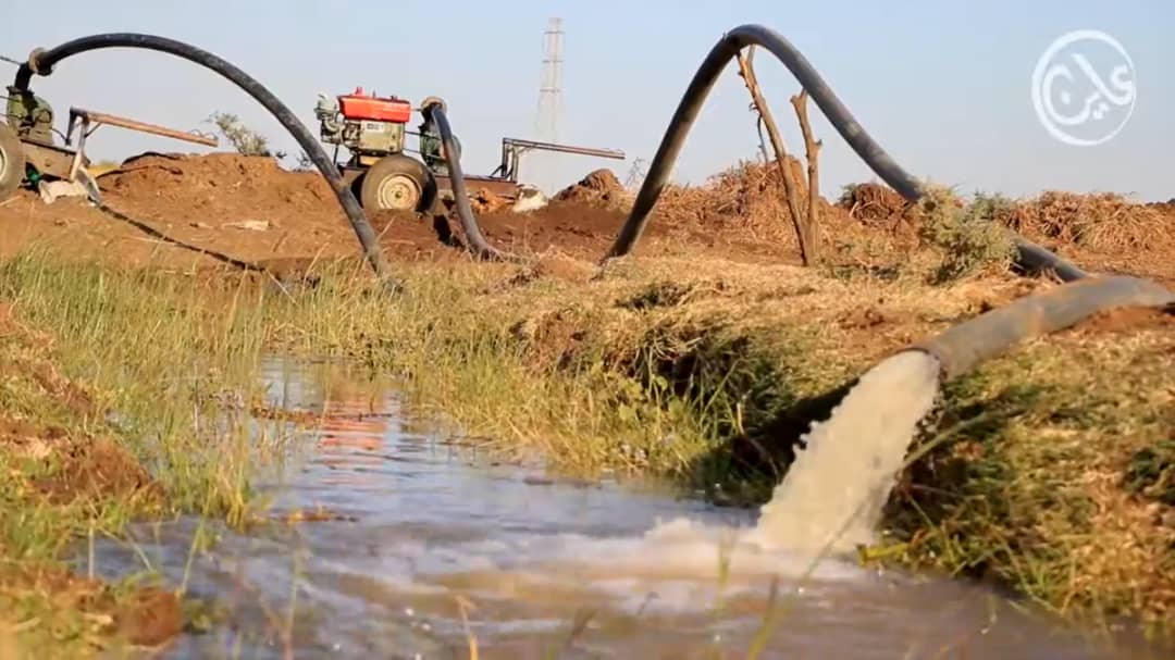 ``ثلاثة مواسم بلا حصاد``: الزراعة في الجزيرة تنهار، والمزارعون يطلقون نداء استغاثة