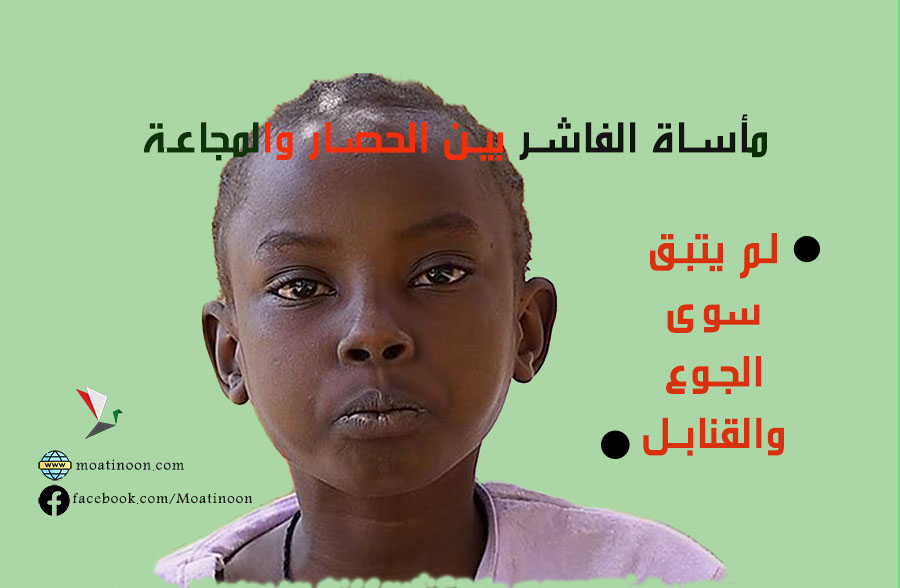 Cholera in Darfur: An Epidemic Walking on the Corpses of War