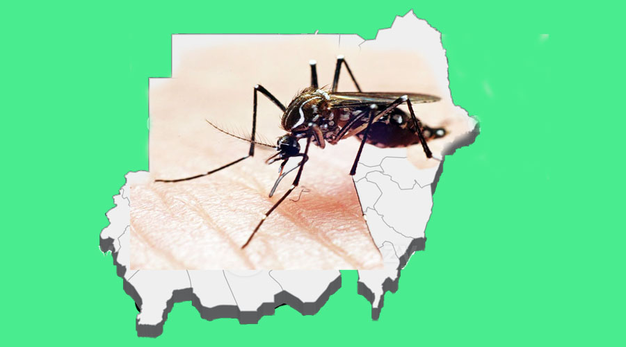 حمى الضنك تجتاح السودان مع تضرر البنية التحتية بسبب الحرب