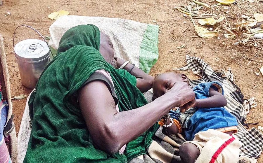 عربة يجرها حمار من الفاشر أغلى من سيارة جديدة