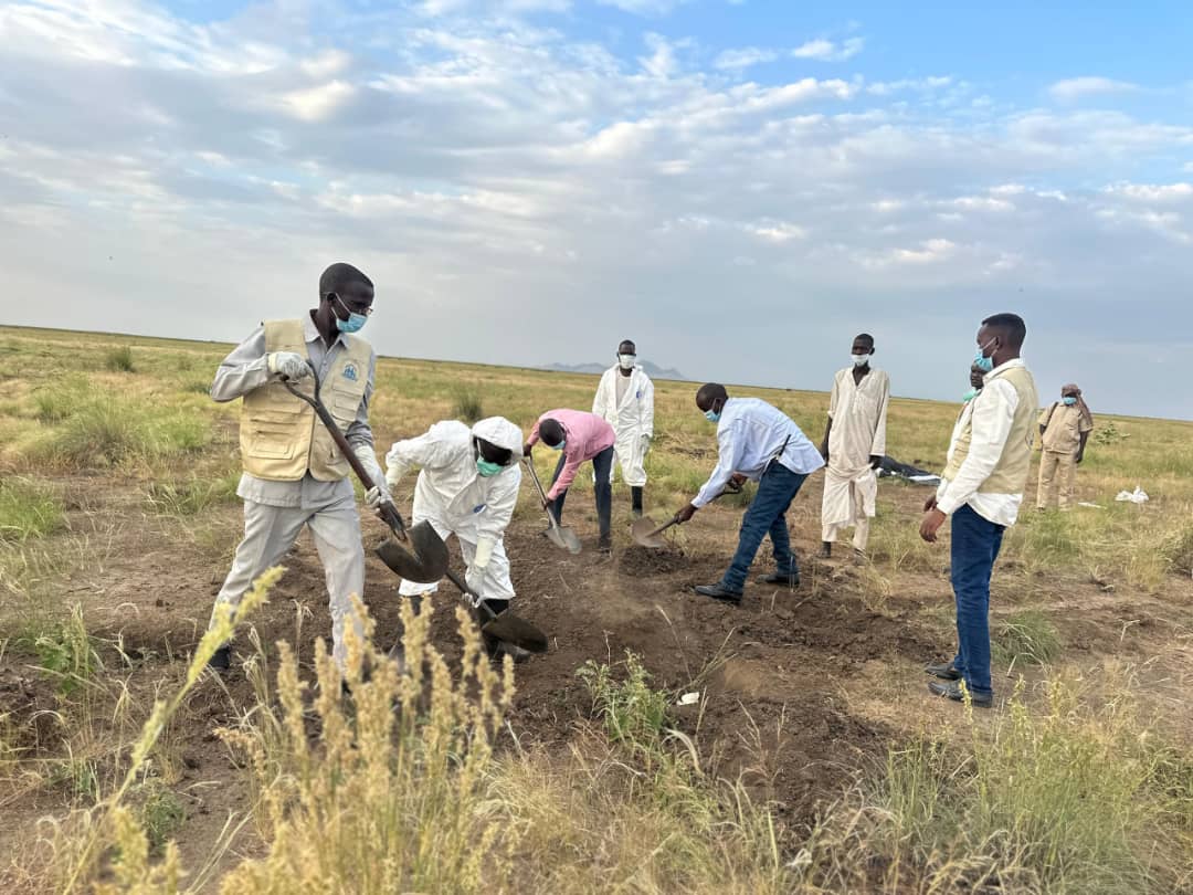 أجساد على الطريق: الفاشر ـ طويلة، رحلة الموت فراراً من الموت 
