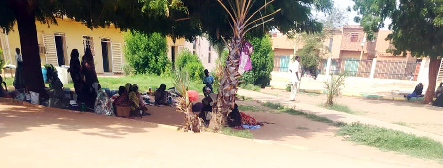 الضنك.. الُحمّى الوخيمة تنخر عظام شرق النيل