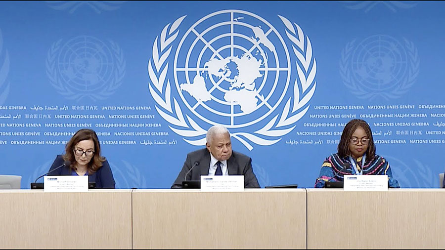 24 دولة تصوت لصالح تمديد بعثة حقوق الإنسان المستقلة في السودان