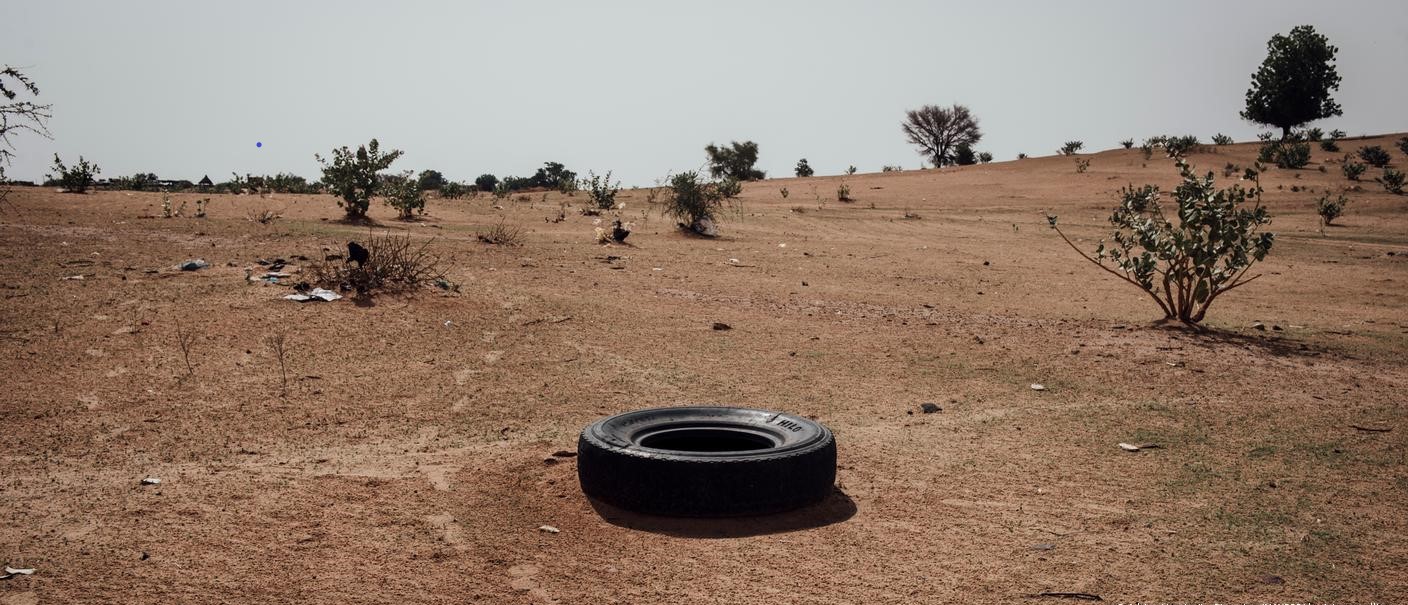 تراجع الغطاء الغابي في السودان مع توسّع الحرب والنزوح