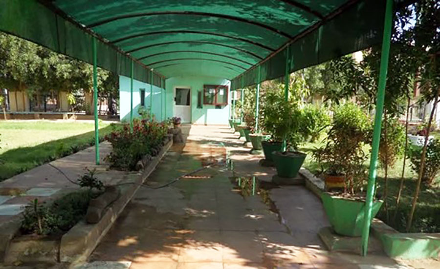 سرقة آلاف الحيوانات والعينات النادرة من متحف السودان الطبيعي