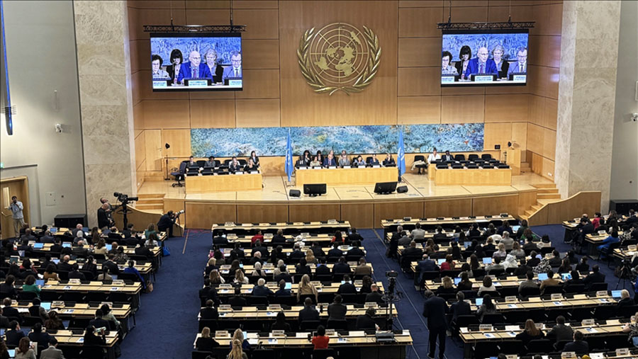 International Statement Condemns El Fasher Atrocities, Urges Immediate Ceasefire in Sudan