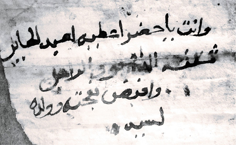 A Rare Royal Document Reveals Features of Governance in Old Dongola