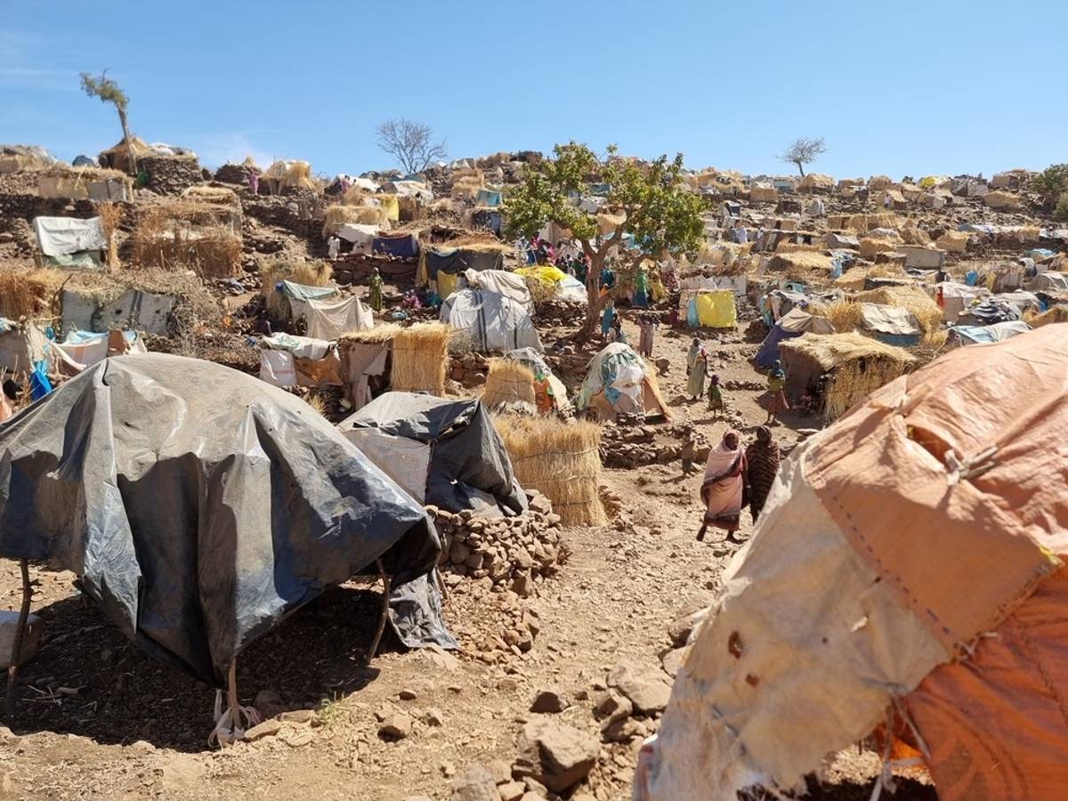 Darfur Displacement Camps Face Health and Humanitarian Collapse as Coordination Body Warns of a Forgotten Tragedy
