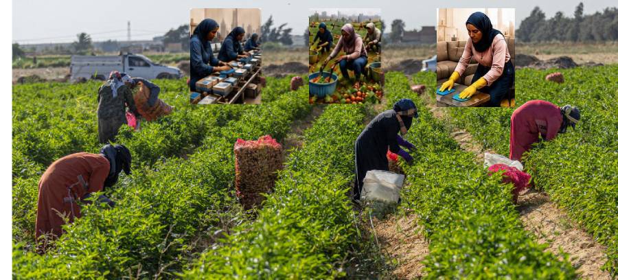 Between Vulnerability and Exploitation: Sudanese Refugee Women in Egypt and the Struggle for Survival (Part 2 of 2)