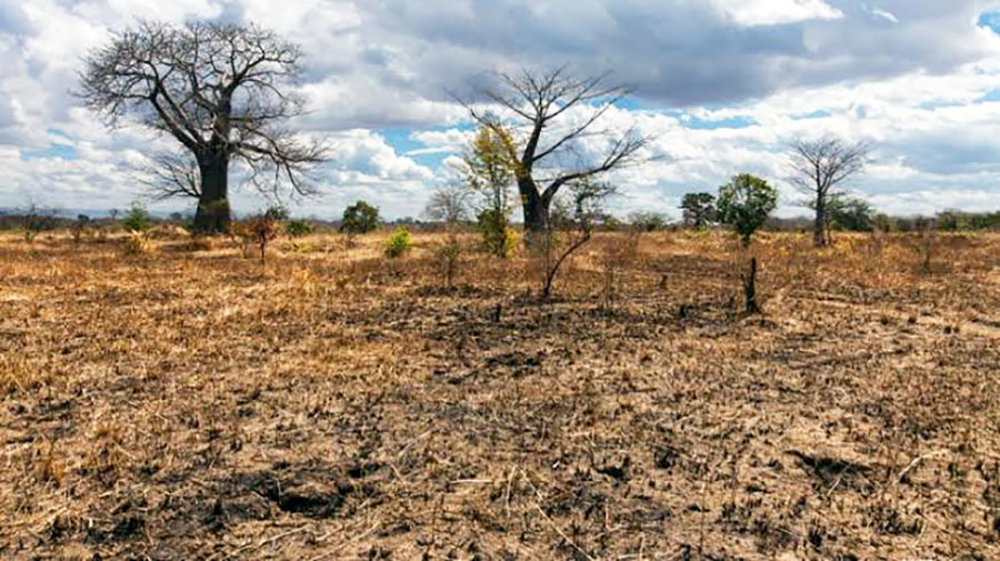 Will El Niño and War Conspire Against Sudanese People This Year?